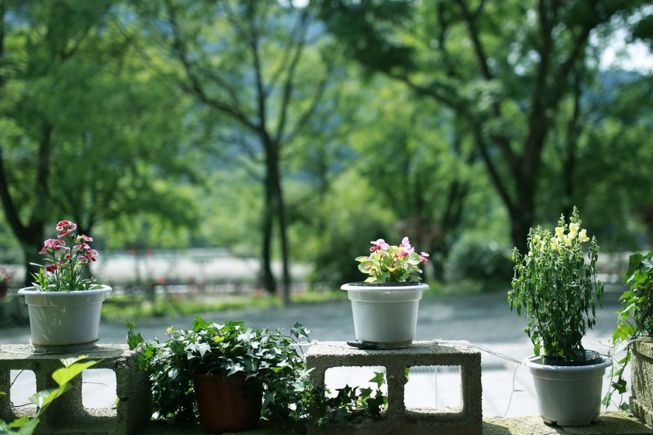 Ancient Street No.5 Youth Chic Hotel Wuyishan  Exterior photo